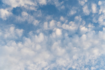 Beautiful cirrus clouds on bright blue sky on a sunny day. Natural background for design.