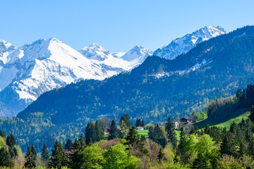 Fototapeta premium Herrlicher Blick auf die schneebedeckten Gipfel der Allgäuer Alpen im Frühling