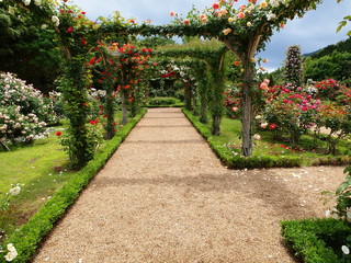 薔薇に囲まれた小径