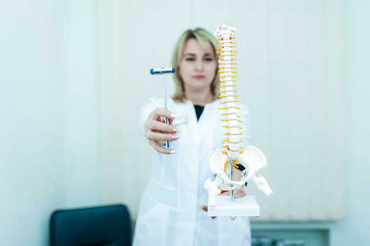 Neurologist woman holds in her hands a model of the spine and a medical hammer
