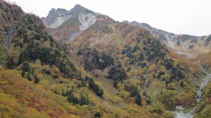 北アルプス　涸沢　紅葉　秋　風景　カール
