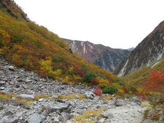 北アルプス　涸沢　紅葉　秋　風景　カール