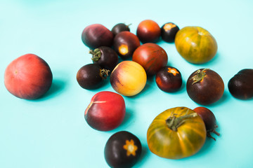 fresh colorful tomatoes on a blue background