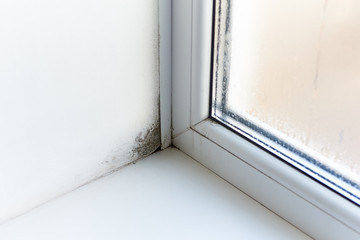Fungus and dampness at the wet window. - obrazy, fototapety, plakaty