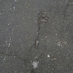texture of the asphalt