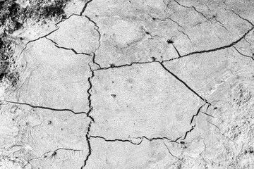 The structure of the earth's surface cracks, soil on a white background, desert cracks, arid surfaces in the dry ground, with many fissures and scratches