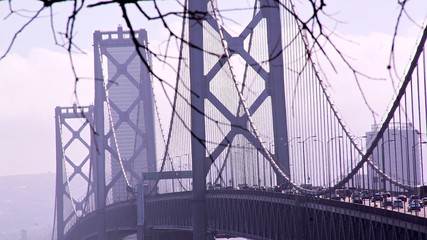 the suspension bridge