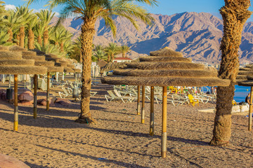 Fototapeta na wymiar palm sand beach landscape view straw umbrella near Red sea water summer time vacation season beautiful destination for rest