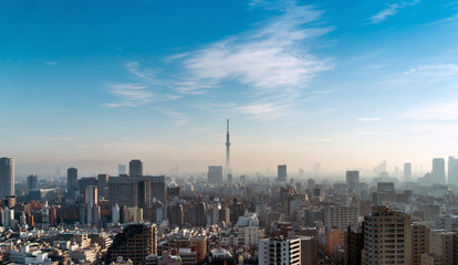panoramic city skyline aerial  view  in Tokyo, Japan