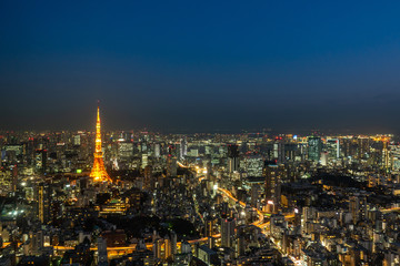 Fototapeta na wymiar Aerial view of Tokyo tower at twilight, landmark of Japan