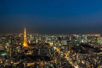 Fotobehang Aerial view of Tokyo tower at twilight,  landmark of Japan © byjeng