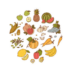Hand Drawn doodle Fruits and vegetables vector set
