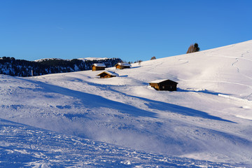 Fototapeta na wymiar panorami invernali unici 