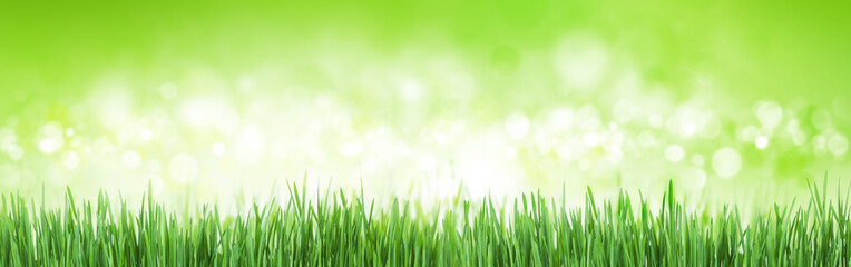Fototapeta na wymiar Abstract sunny grass and bokeh backdrop