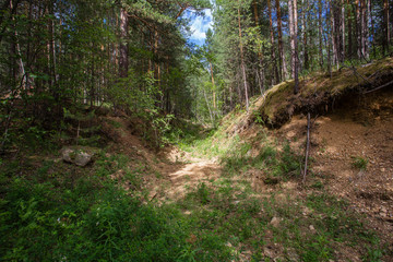 Old open pit mine amethyst crystalls in forest