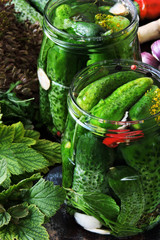 Cooking pickled cucumbers. Pickling cucumbers. Cucumbers in jars, spices, salt and herbs.