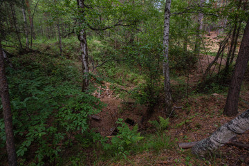 Obraz premium Old open pit mine amethyst crystalls in forest