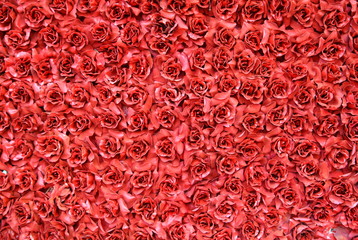 many red roses background texture 