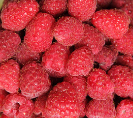 A macro close up view of raspberries.