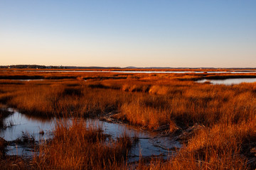 New England Salt Marsh at Sunset