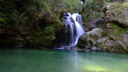 waterfall in forest