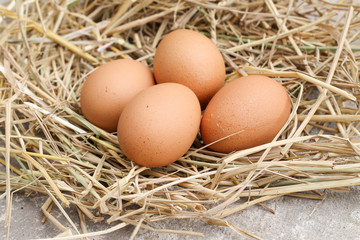 top view four brown eggs on rice straw with concrete background.