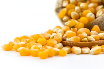 Healthy corn on the wooden spoon.
