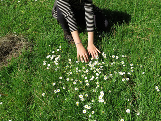 hands over the grass with little flowers