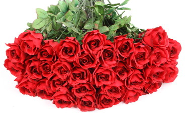 Big bunch of red roses on white background