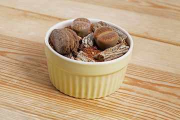 Lithops, The living stone plant in transparent glass vase