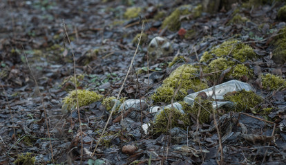 plastic bottles in the forest overgrown with more. The problem of ecology