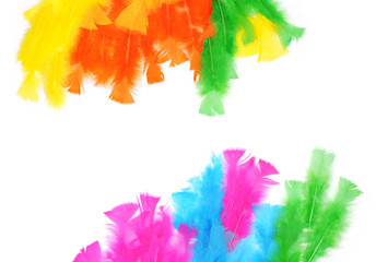 Colorful feathers background