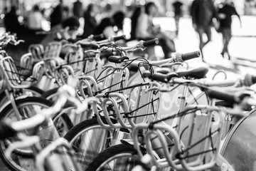 Fototapeta na wymiar Bicycles for rent in city