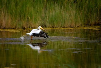 A lock in Time Photography