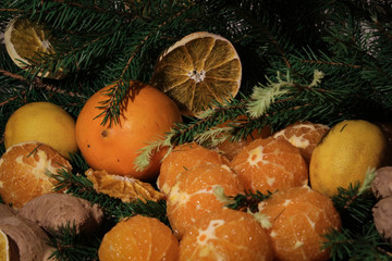 Fototapeta na wymiar juicy tangerines and spruce branches, new year's composition, Christmas mood