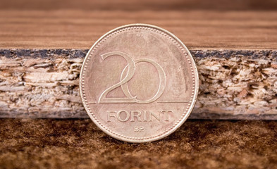 Hungarian national currency. Twenty forints