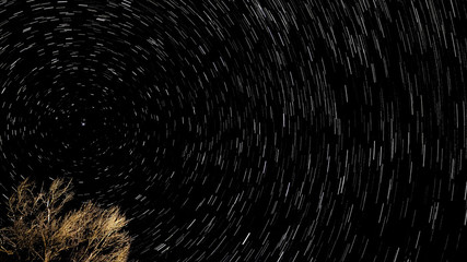 Star trail,illuminated tree over dark night sky full of stars, earth rotation 