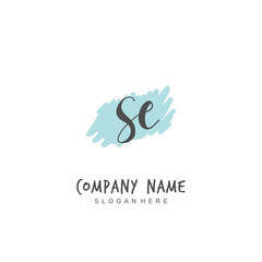 Handwritten initial letter S E SE for identity and logo. Vector logo template with handwriting and signature style.