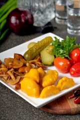 Assorted pickled vegetables pickled herring, chopped chives with potato, peppers, cucumbers, tomatoes, capers, salt and herbs. Set of vegetables snacks for alcohol vodka. Russian traditional cuisine.