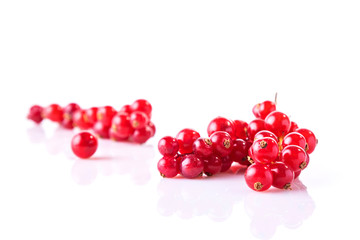 Red currants presented on whie background