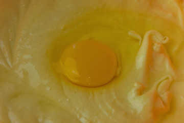 The egg is added to the dough.
