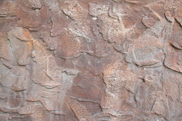 Background of the cement wall is plaster rough style 