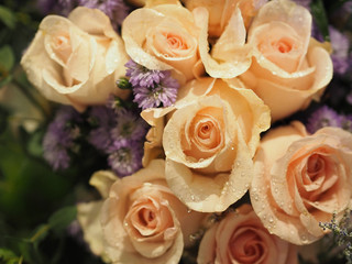 old rose color rose flower arrangement Beautiful bouquet on blurred of nature background symbol love Valentine