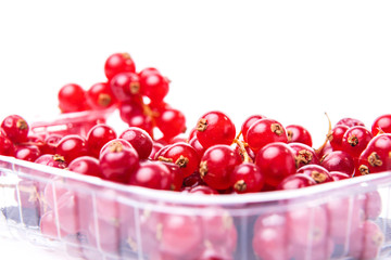 Red currants presented on white background