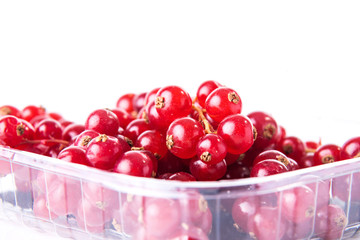 Red currants presented on white background