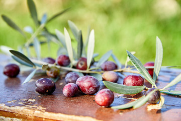 ripe violet olives with leaves on the wooden background