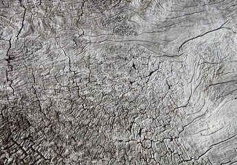 Old, rough textured, knotted, weathered, rotten, cracked, plank - knot detail. 