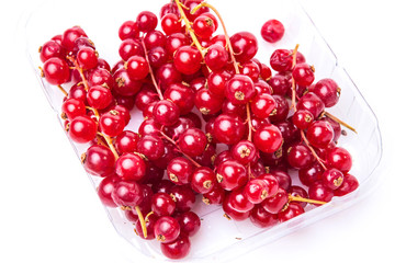 Red currants presented on white background