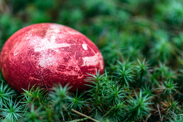 side view red and white Easter egg on green nature background