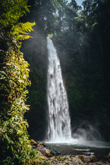 Nungnung waterfall in the bali island, indonesia. Amazing wild life. Travel photography.